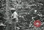 Image of Ford Motor Company Brazilian rubber workers Brazil, 1942, second 39 stock footage video 65675064716