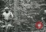 Image of Ford Motor Company Brazilian rubber workers Brazil, 1942, second 40 stock footage video 65675064716