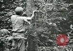 Image of Ford Motor Company Brazilian rubber workers Brazil, 1942, second 45 stock footage video 65675064716