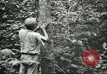 Image of Ford Motor Company Brazilian rubber workers Brazil, 1942, second 46 stock footage video 65675064716