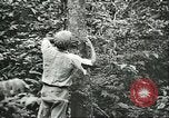 Image of Ford Motor Company Brazilian rubber workers Brazil, 1942, second 49 stock footage video 65675064716