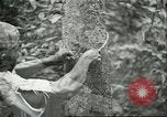 Image of Ford Motor Company Brazilian rubber workers Brazil, 1942, second 52 stock footage video 65675064716