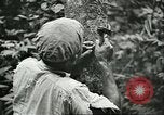 Image of Ford Motor Company Brazilian rubber workers Brazil, 1942, second 56 stock footage video 65675064716