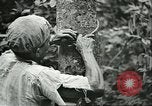 Image of Ford Motor Company Brazilian rubber workers Brazil, 1942, second 58 stock footage video 65675064716