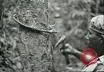 Image of Ford Motor Company Brazilian rubber workers Brazil, 1942, second 60 stock footage video 65675064716