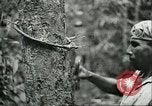 Image of Ford Motor Company Brazilian rubber workers Brazil, 1942, second 61 stock footage video 65675064716