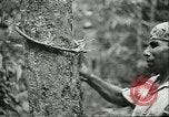 Image of Ford Motor Company Brazilian rubber workers Brazil, 1942, second 62 stock footage video 65675064716