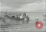 Image of Brazilian rubber tree workers Brazil, 1934, second 38 stock footage video 65675064718