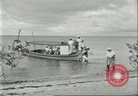 Image of Brazilian rubber tree workers Brazil, 1934, second 39 stock footage video 65675064718