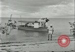 Image of Brazilian rubber tree workers Brazil, 1934, second 41 stock footage video 65675064718
