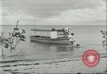 Image of Brazilian rubber tree workers Brazil, 1934, second 52 stock footage video 65675064718