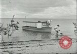 Image of Brazilian rubber tree workers Brazil, 1934, second 53 stock footage video 65675064718