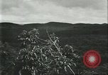 Standbild Fordlandia Kautschukplantage in Brasilien Brasilien, 1934, aus Sekunde 5 historischem Filmmaterial Videoclip 65675064720