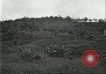 Standbild Fordlandia Kautschukplantage in Brasilien Brasilien, 1934, aus Sekunde 36 historischem Filmmaterial Videoclip 65675064720