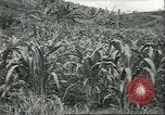 Standbild Fordlandia Kautschukplantage in Brasilien Brasilien, 1934, aus Sekunde 48 historischem Filmmaterial Videoclip 65675064720