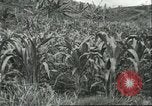 Standbild Fordlandia Kautschukplantage in Brasilien Brasilien, 1934, aus Sekunde 50 historischem Filmmaterial Videoclip 65675064720