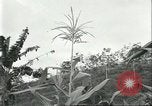 Standbild Fordlandia Kautschukplantage in Brasilien Brasilien, 1934, aus Sekunde 58 historischem Filmmaterial Videoclip 65675064720