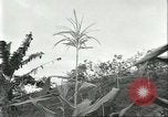 Standbild Fordlandia Kautschukplantage in Brasilien Brasilien, 1934, aus Sekunde 59 historischem Filmmaterial Videoclip 65675064720