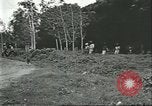 Image Fordlandia immeubles et terrains Brésil, 1934, de la seconde 10 séquences d'archives historiques vidéo 65675064721