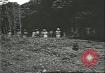 Image Fordlandia immeubles et terrains Brésil, 1934, de la seconde 13 séquences d'archives historiques vidéo 65675064721