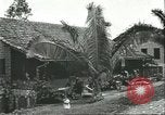 Image Fordlandia immeubles et terrains Brésil, 1934, de la seconde 35 séquences d'archives historiques vidéo 65675064721