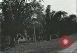 Image Fordlandia immeubles et terrains Brésil, 1934, de la seconde 41 séquences d'archives historiques vidéo 65675064721