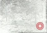 Image Les travailleurs brésiliens à fruits récolte Fordlandia Brésil, 1934, de la seconde 1 séquences d'archives historiques vidéo 65675064722