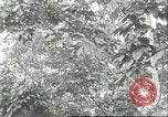 Image Les travailleurs brésiliens à fruits récolte Fordlandia Brésil, 1934, de la seconde 8 séquences d'archives historiques vidéo 65675064722