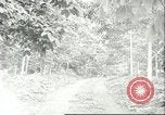 Image Les travailleurs brésiliens à fruits récolte Fordlandia Brésil, 1934, de la seconde 9 séquences d'archives historiques vidéo 65675064722