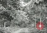 Image Les travailleurs brésiliens à fruits récolte Fordlandia Brésil, 1934, de la seconde 14 séquences d'archives historiques vidéo 65675064722