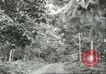 Image Les travailleurs brésiliens à fruits récolte Fordlandia Brésil, 1934, de la seconde 15 séquences d'archives historiques vidéo 65675064722