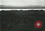 Image Les travailleurs brésiliens à fruits récolte Fordlandia Brésil, 1934, de la seconde 24 séquences d'archives historiques vidéo 65675064722
