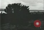 Image Les travailleurs brésiliens à fruits récolte Fordlandia Brésil, 1934, de la seconde 31 séquences d'archives historiques vidéo 65675064722