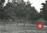 Image Les travailleurs brésiliens à fruits récolte Fordlandia Brésil, 1934, de la seconde 34 séquences d'archives historiques vidéo 65675064722