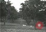 Image Les travailleurs brésiliens à fruits récolte Fordlandia Brésil, 1934, de la seconde 36 séquences d'archives historiques vidéo 65675064722