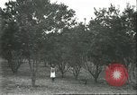 Image Les travailleurs brésiliens à fruits récolte Fordlandia Brésil, 1934, de la seconde 41 séquences d'archives historiques vidéo 65675064722
