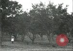 Image Les travailleurs brésiliens à fruits récolte Fordlandia Brésil, 1934, de la seconde 42 séquences d'archives historiques vidéo 65675064722