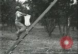 Image Les travailleurs brésiliens à fruits récolte Fordlandia Brésil, 1934, de la seconde 49 séquences d'archives historiques vidéo 65675064722