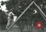 Image Les travailleurs brésiliens à fruits récolte Fordlandia Brésil, 1934, de la seconde 52 séquences d'archives historiques vidéo 65675064722