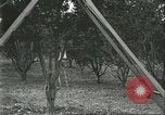 Image Les travailleurs brésiliens à fruits récolte Fordlandia Brésil, 1934, de la seconde 59 séquences d'archives historiques vidéo 65675064722