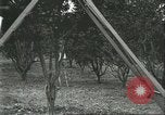 Image Les travailleurs brésiliens à fruits récolte Fordlandia Brésil, 1934, de la seconde 60 séquences d'archives historiques vidéo 65675064722