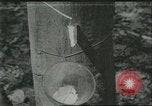 Image Fordlandia caoutchouc et l'exploitation forestière Brésil, 1932, de la seconde 1 séquences d'archives historiques vidéo 65675064723
