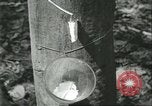 Image Fordlandia caoutchouc et l'exploitation forestière Brésil, 1932, de la seconde 7 séquences d'archives historiques vidéo 65675064723