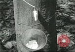 Image Fordlandia caoutchouc et l'exploitation forestière Brésil, 1932, de la seconde 9 séquences d'archives historiques vidéo 65675064723