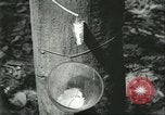 Image Fordlandia caoutchouc et l'exploitation forestière Brésil, 1932, de la seconde 11 séquences d'archives historiques vidéo 65675064723