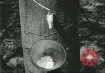 Image Fordlandia caoutchouc et l'exploitation forestière Brésil, 1932, de la seconde 13 séquences d'archives historiques vidéo 65675064723