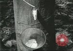 Image Fordlandia caoutchouc et l'exploitation forestière Brésil, 1932, de la seconde 14 séquences d'archives historiques vidéo 65675064723