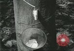 Image Fordlandia caoutchouc et l'exploitation forestière Brésil, 1932, de la seconde 15 séquences d'archives historiques vidéo 65675064723