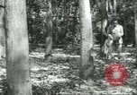 Image Fordlandia caoutchouc et l'exploitation forestière Brésil, 1932, de la seconde 29 séquences d'archives historiques vidéo 65675064723