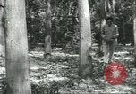 Image Fordlandia caoutchouc et l'exploitation forestière Brésil, 1932, de la seconde 30 séquences d'archives historiques vidéo 65675064723
